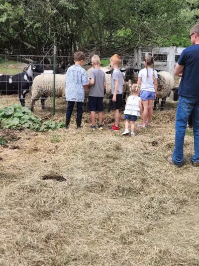 Hidden Acres - Dowagiac,