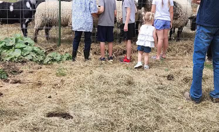 Hidden Acres - Dowagiac,