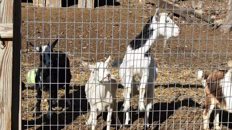 Hidden Acres - Dowagiac,