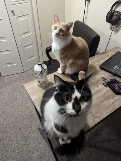 Hidden Acres - Dowagiac,