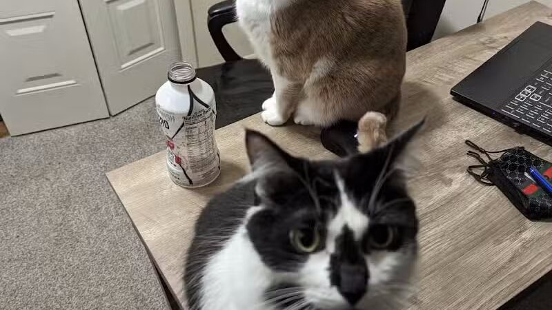 Hidden Acres - Dowagiac,