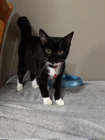 Hidden Acres - Dowagiac,