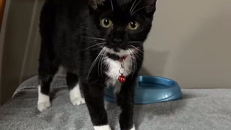 Hidden Acres - Dowagiac,