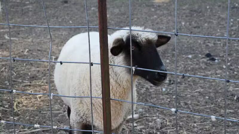 Hidden Acres - Dowagiac,