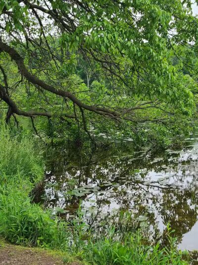James Heddon Park - Dowagiac,