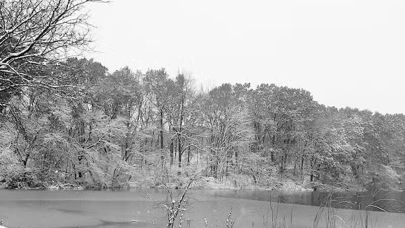 James Heddon Park - Dowagiac,