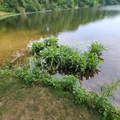 James Heddon Park - Dowagiac,
