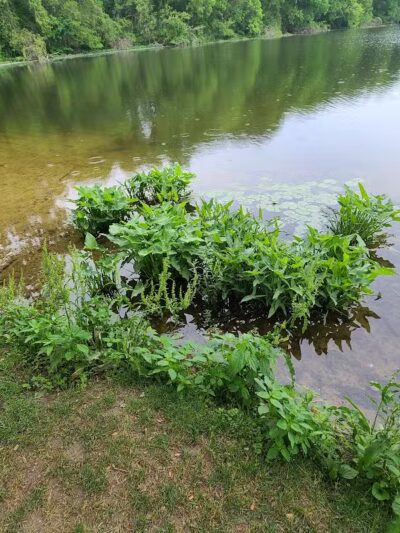 James Heddon Park - Dowagiac,