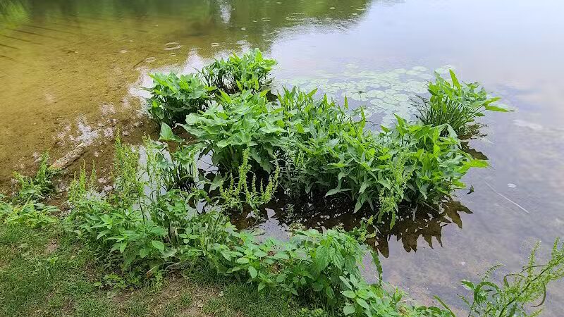 James Heddon Park - Dowagiac,