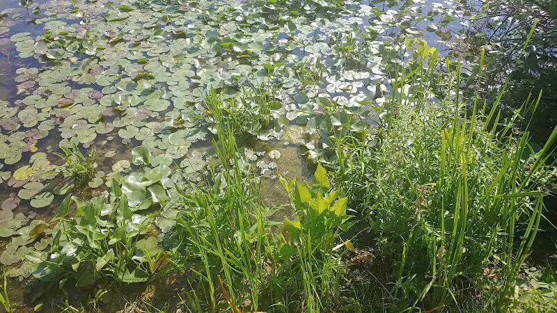 James Heddon Park - Dowagiac,