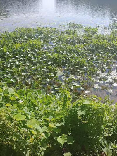 James Heddon Park - Dowagiac,