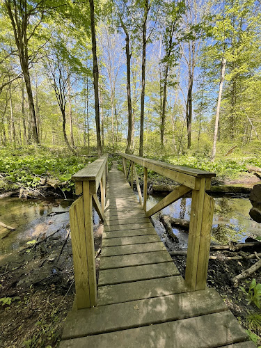 Dowagiac Woods Nature Sanctuary - Dowagiac,