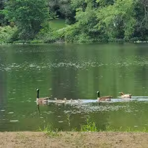 James Heddon Park - Dowagiac,