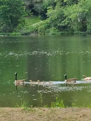 James Heddon Park - Dowagiac,