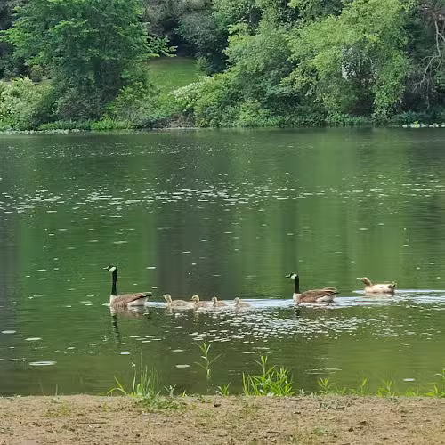 James Heddon Park - Dowagiac,