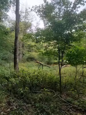 Rudolphi Wildlife Refuge - Dowagiac,