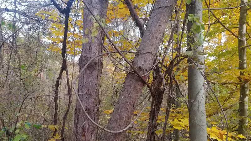 Rudolphi Wildlife Refuge - Dowagiac,