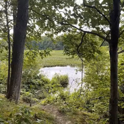 Rudolphi Wildlife Refuge - Dowagiac,