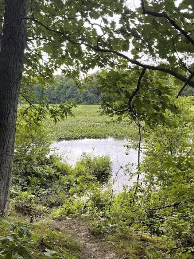 Rudolphi Wildlife Refuge - Dowagiac,