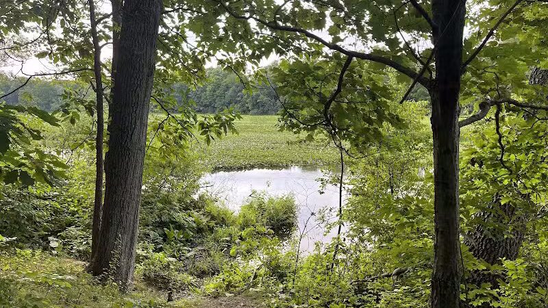 Rudolphi Wildlife Refuge - Dowagiac,