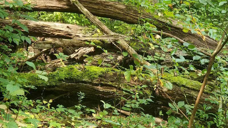 Rudolphi Wildlife Refuge - Dowagiac,