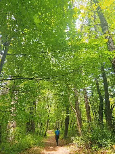 Rudolphi Wildlife Refuge - Dowagiac,