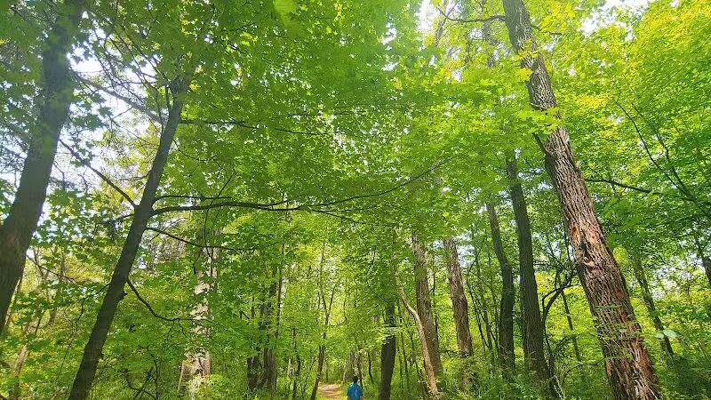 Rudolphi Wildlife Refuge - Dowagiac,