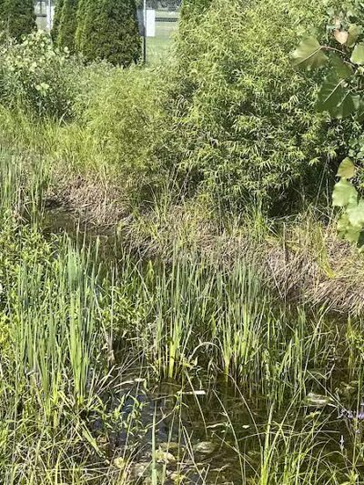 Russom Park - Dowagiac,