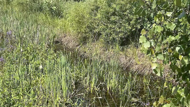 Russom Park - Dowagiac,