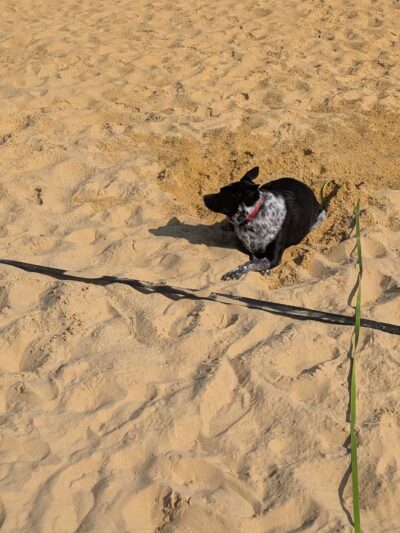 Lloyd Park - Downingtown, PA