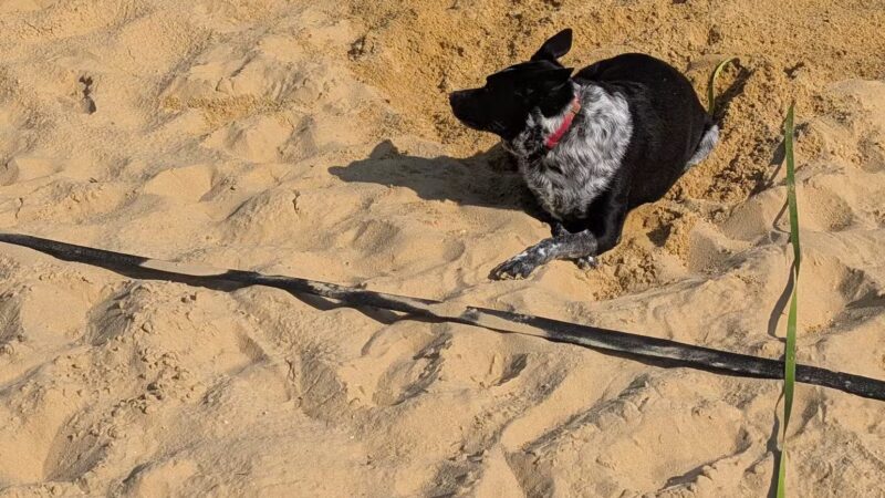 Lloyd Park - Downingtown, PA