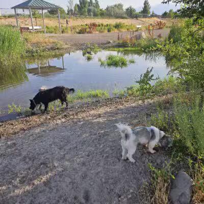 Draper Dayland Dog Park - Draper, UT