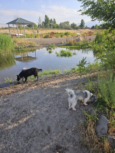 Draper Dayland Dog Park - Draper, UT