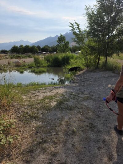 Draper Dayland Dog Park - Draper, UT