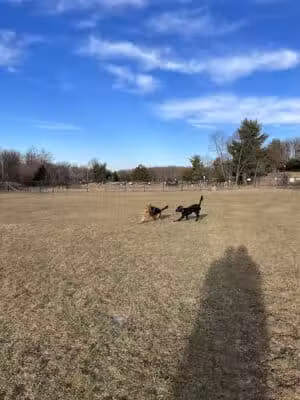 Twining Valley Dog Park - Dresher,