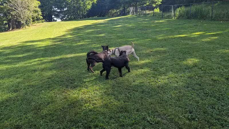 Twining Valley Dog Park - Dresher,