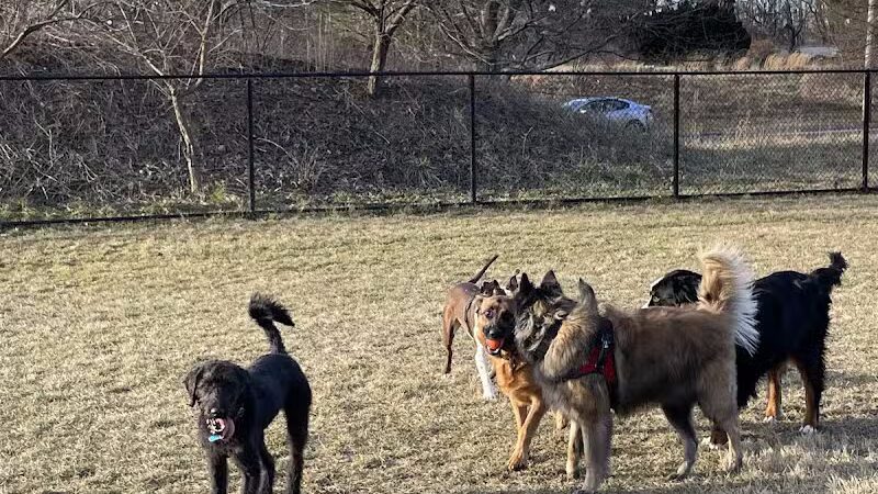 Twining Valley Dog Park - Dresher,