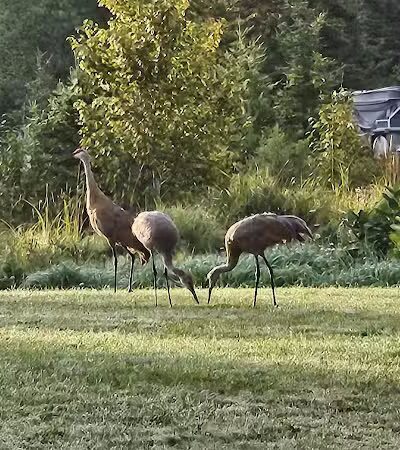 Drummond Island RV Park - Drummond,