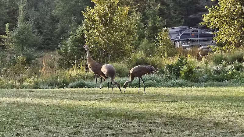 Drummond Island RV Park - Drummond,