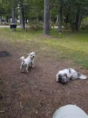 Township Park - Drummond,