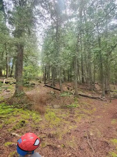 Township Park - Drummond,