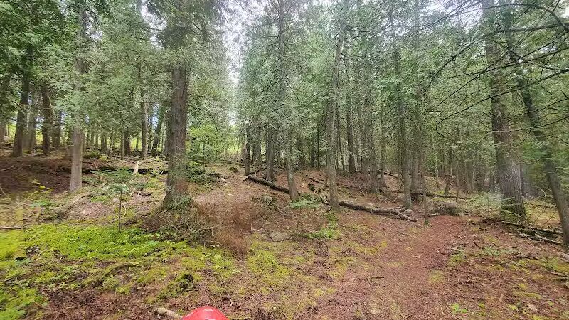 Township Park - Drummond,