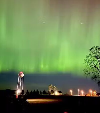 Cardinal Field - Dryden,