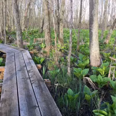 Seven Ponds Nature Center - Dryden,