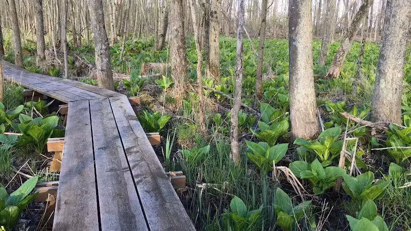 Seven Ponds Nature Center - Dryden,