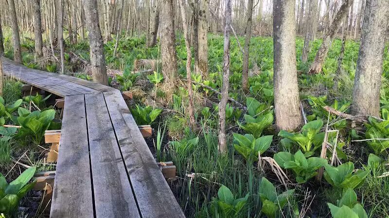 Seven Ponds Nature Center - Dryden, MI