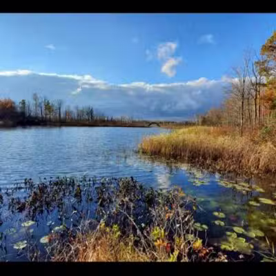 Seven Ponds Nature Center - Dryden,
