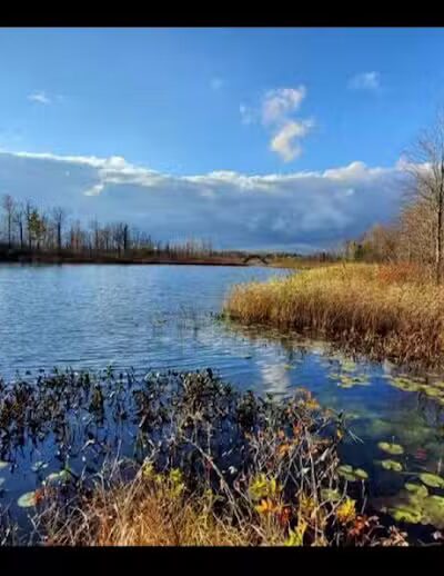 Seven Ponds Nature Center - Dryden, MI