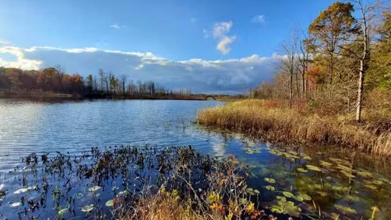 Seven Ponds Nature Center - Dryden, MI