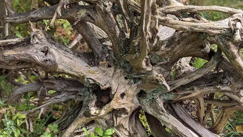 Seven Ponds Nature Center - Dryden, MI